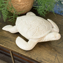 Load image into Gallery viewer, Ivory Sea Turtle
