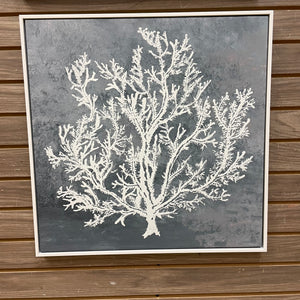 White Sea Life on Blue II