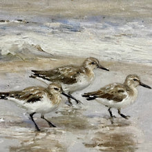 Load image into Gallery viewer, Running Sandpiper Art
