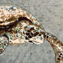 Load image into Gallery viewer, Turtle NC Coast Map
