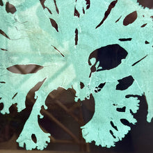 Load image into Gallery viewer, Blue Coral Art I
