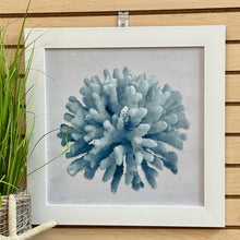 Load image into Gallery viewer, Blue Coral I
