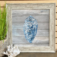 Load image into Gallery viewer, Blue Cowrie Shell
