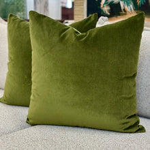 Load image into Gallery viewer, Green Velvet Down Designer Pillow
