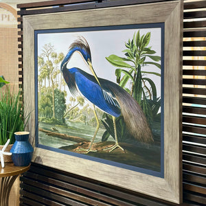 'Louisiana Heron' Fine Art Giclee
