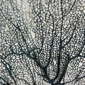 Sea Fan Art