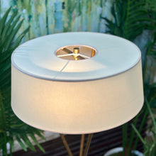 Load image into Gallery viewer, Visual Comfort Gold Floor Lamp
