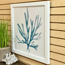 Load image into Gallery viewer, Blue Sea Plant I
