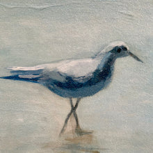 Load image into Gallery viewer, Shorebirds In Surf I Giclee
