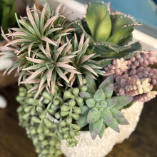 Load image into Gallery viewer, Succulent In Text. White Bowl I
