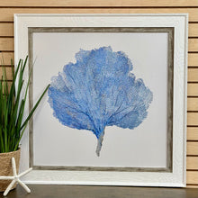 Load image into Gallery viewer, Blue Seafan II
