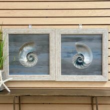 Load image into Gallery viewer, Blue/Grey Nautilus I
