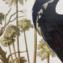 Load image into Gallery viewer, 'Louisiana Heron' Giclee
