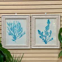 Load image into Gallery viewer, Seaweed II Framed Art
