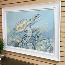 Load image into Gallery viewer, Soft Sea Turtle Giclee
