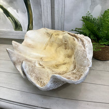 Load image into Gallery viewer, LG Clam Shell Decor

