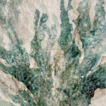 Load image into Gallery viewer, Teal Sea Fan II
