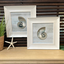 Load image into Gallery viewer, Framed Shell Art II
