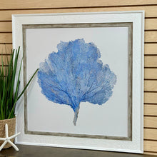 Load image into Gallery viewer, Blue Seafan II
