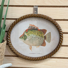 Load image into Gallery viewer, Oval Fish Print III Art
