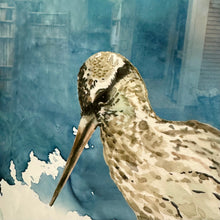 Load image into Gallery viewer, Glass Framed Sandpiper I
