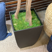 Load image into Gallery viewer, Faux Grass In Blk Pot
