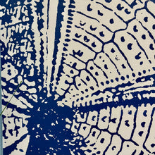 Load image into Gallery viewer, Navy Sea Urchin Giclee
