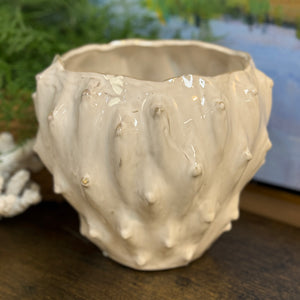 White Cactus Planter