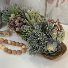 Load image into Gallery viewer, Long Dough Bowl Succulent
