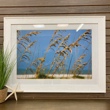 Load image into Gallery viewer, Sea Oats Framed in White
