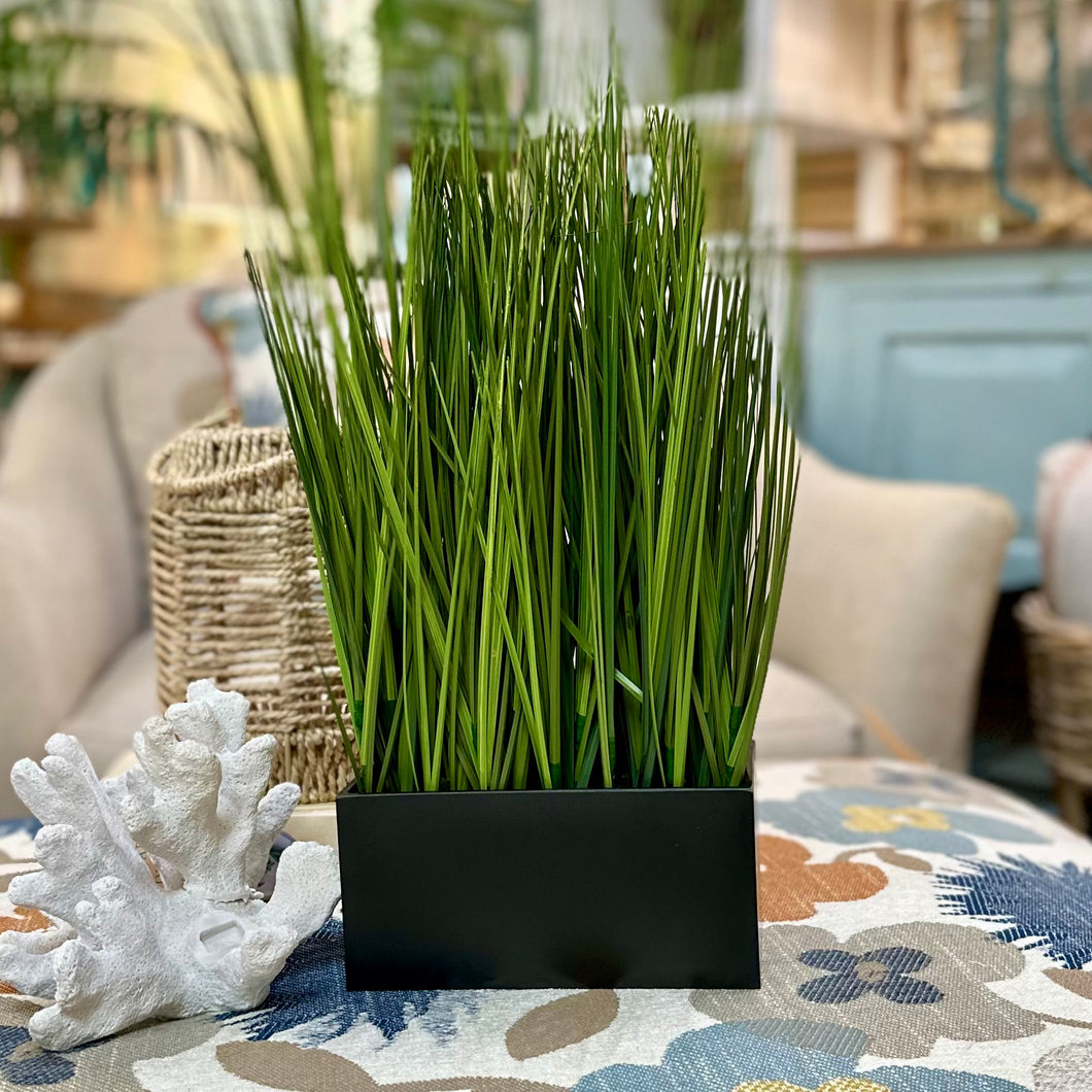 Faux Grass in Rectangle Box