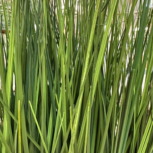 Faux Grass in Rectangle Box