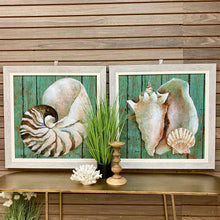 Load image into Gallery viewer, Shell on Aqua Giclee I
