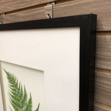 Load image into Gallery viewer, Fern Study I
